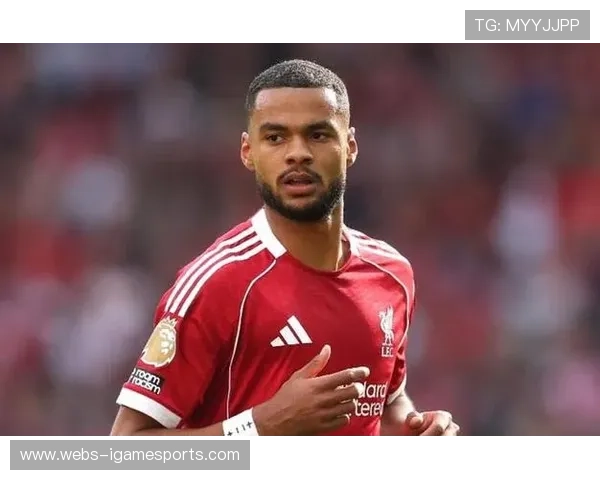 利物浦前锋加克波因伤缺阵，预计休战至明年一月